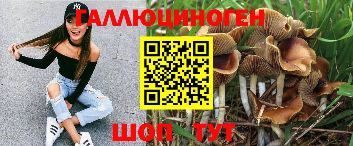 Галлюциногенные грибы MAGIC MUSHROOMS  Вход с VPN  как найти   Вязьма 